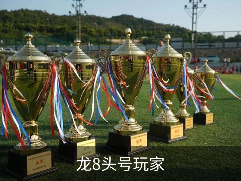 了解龙8头号玩家